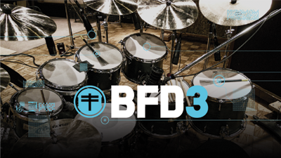 Bfd3 demo